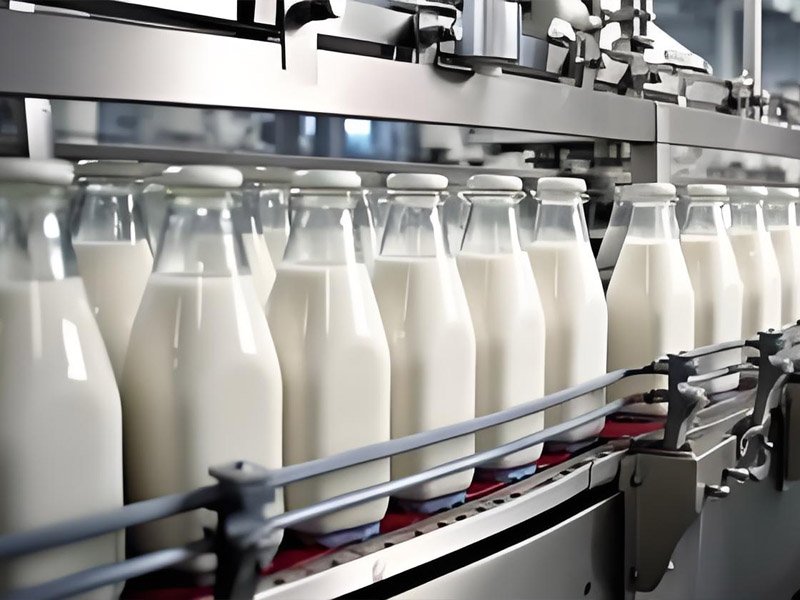 Dairy